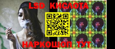 spice Кинель