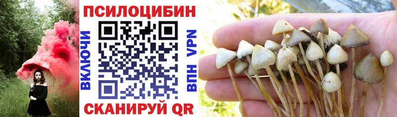 KRAKEN tor  Луховицы  Псилоцибиновые грибы Psilocybine cubensis  хочу  