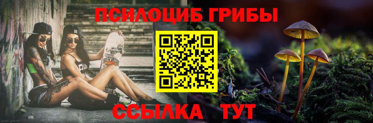 Псилоцибиновые грибы прущие грибы Луховицы